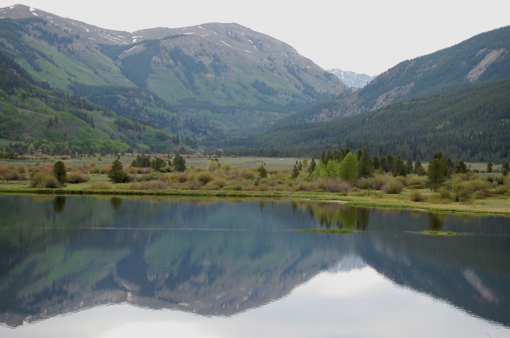 Mixed Conifer Management Guidelines in the Southern Front Range, Colorado – A Brief Case Study of the Status of Our Knowledge of Ecology and Fire Science 