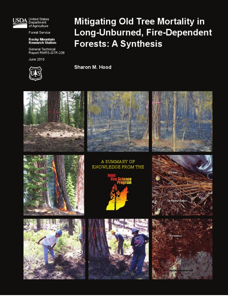 Mitigating Old Tree Mortality in Long-Unburned, Fire-Dependent Forests: A Synthesis