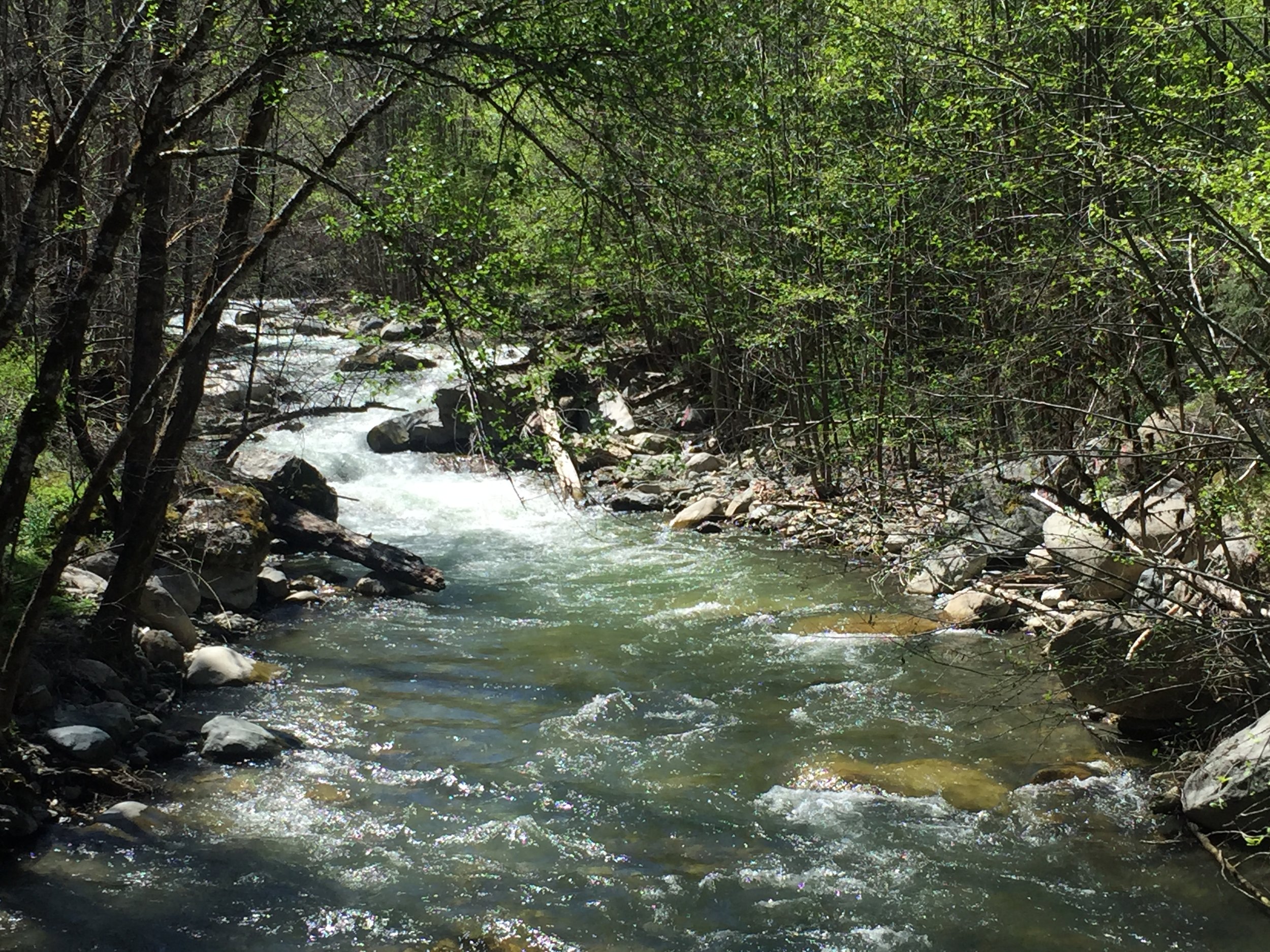 Climate Change, Forests, Fire, Water, and Fish: Building resilient landscapes, streams, and managers