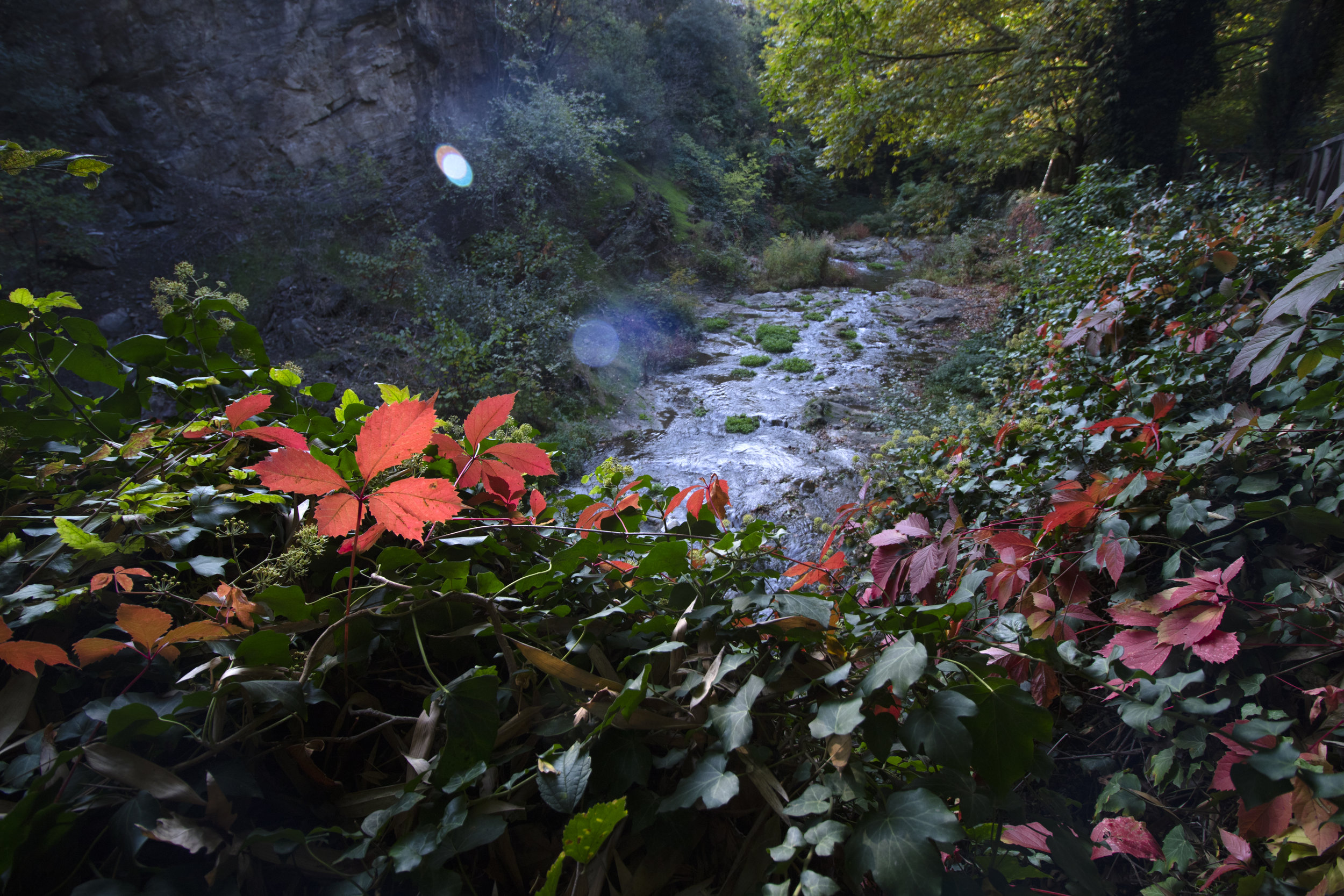 Fire Impacts on Water Quality Across the West