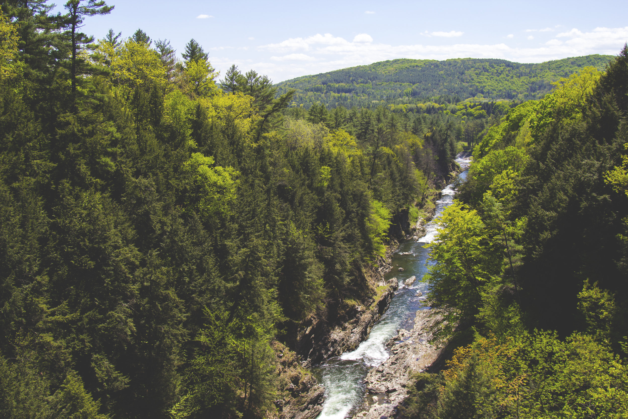 Science-Based Assessments of Riparian Ecosystems