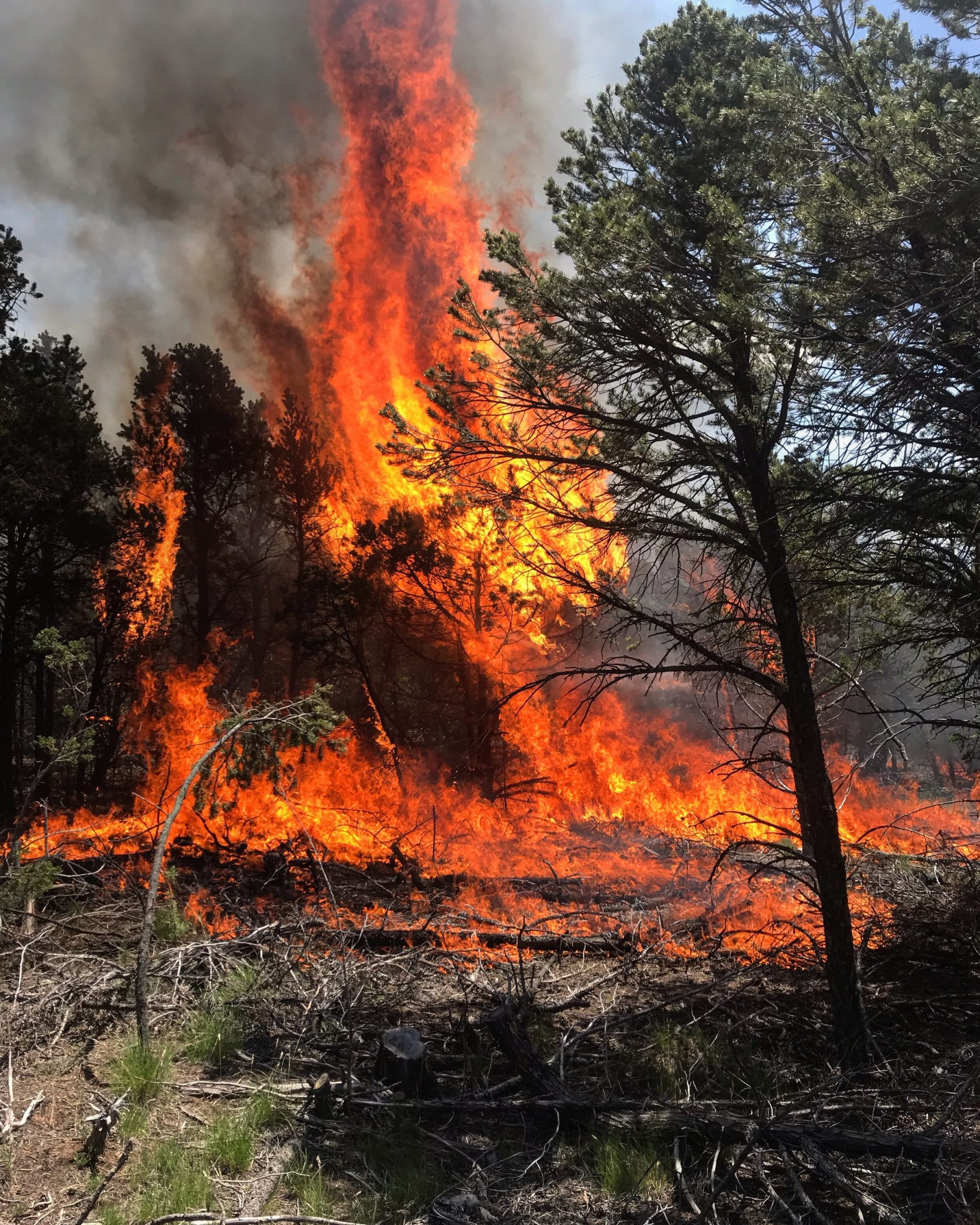 Quantitative Wildfire Risk Assessment (QWRA)