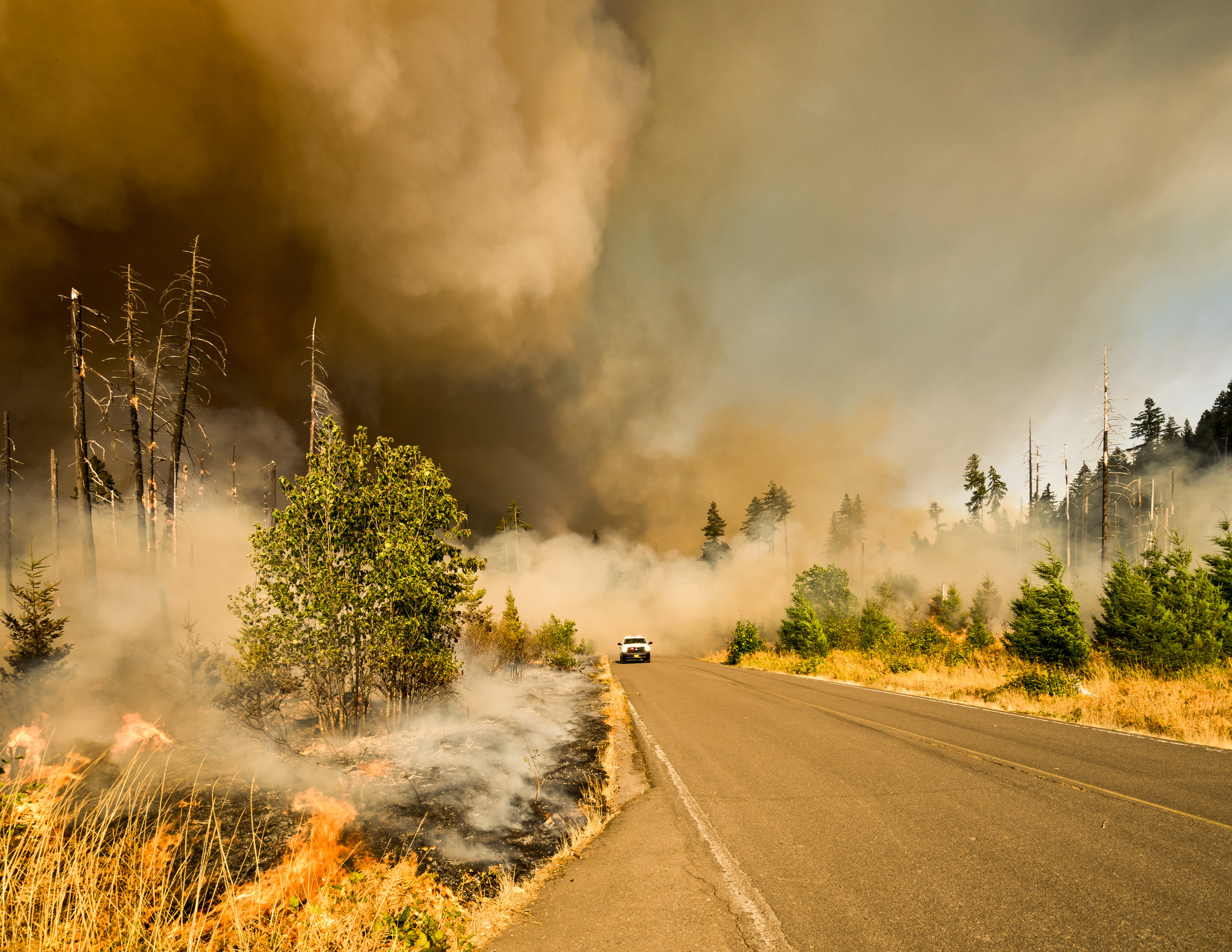 WFEIS: Wildland Fire Emissions Information System