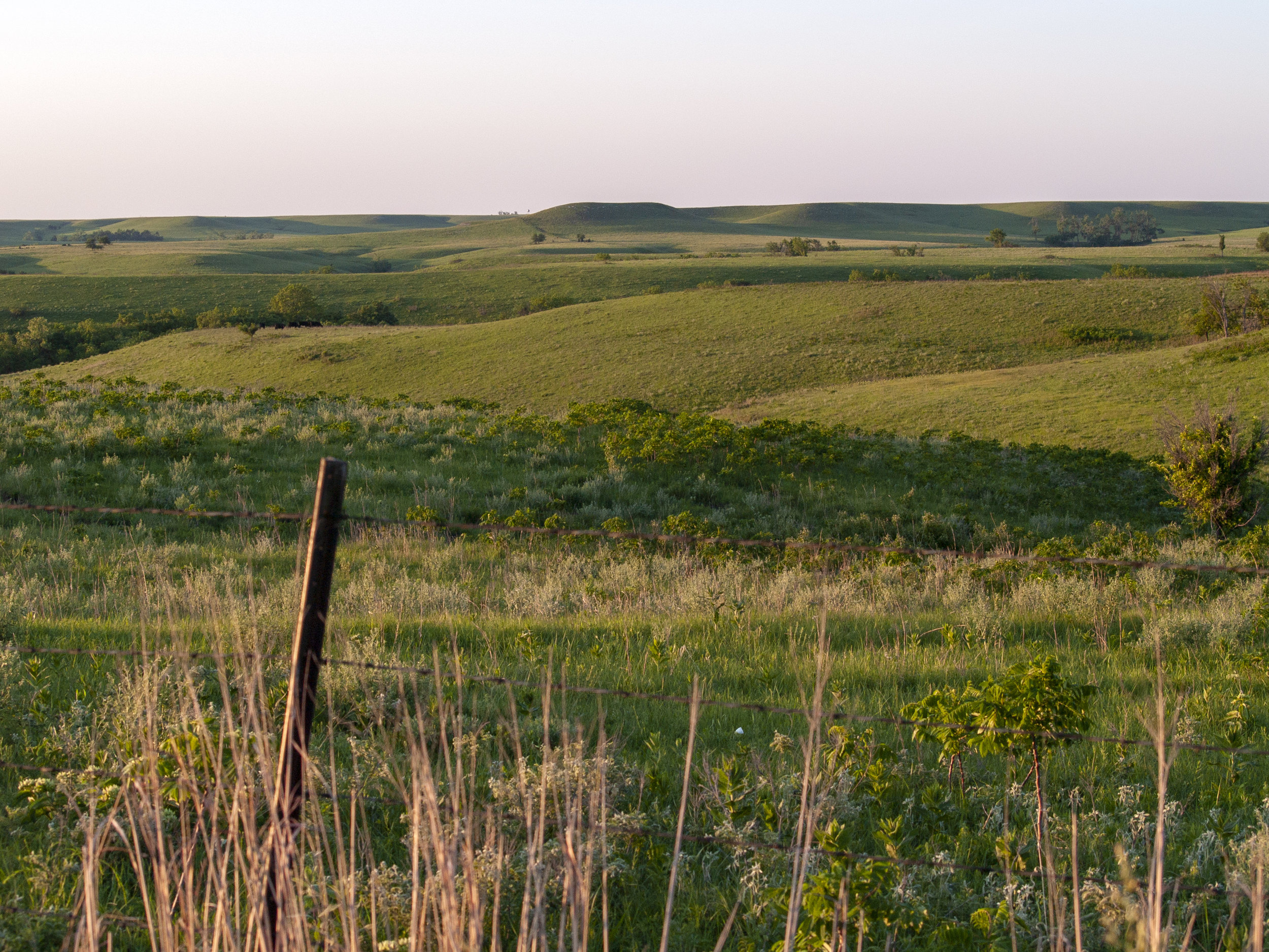 Rangeland Analysis Platform (RAP)