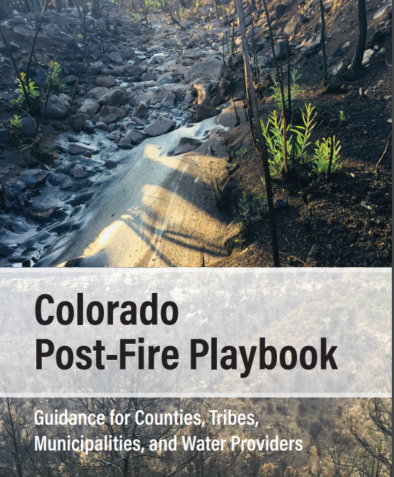 Post-Fire Planning “By the Book”: Strategies for Landscape and Social Response