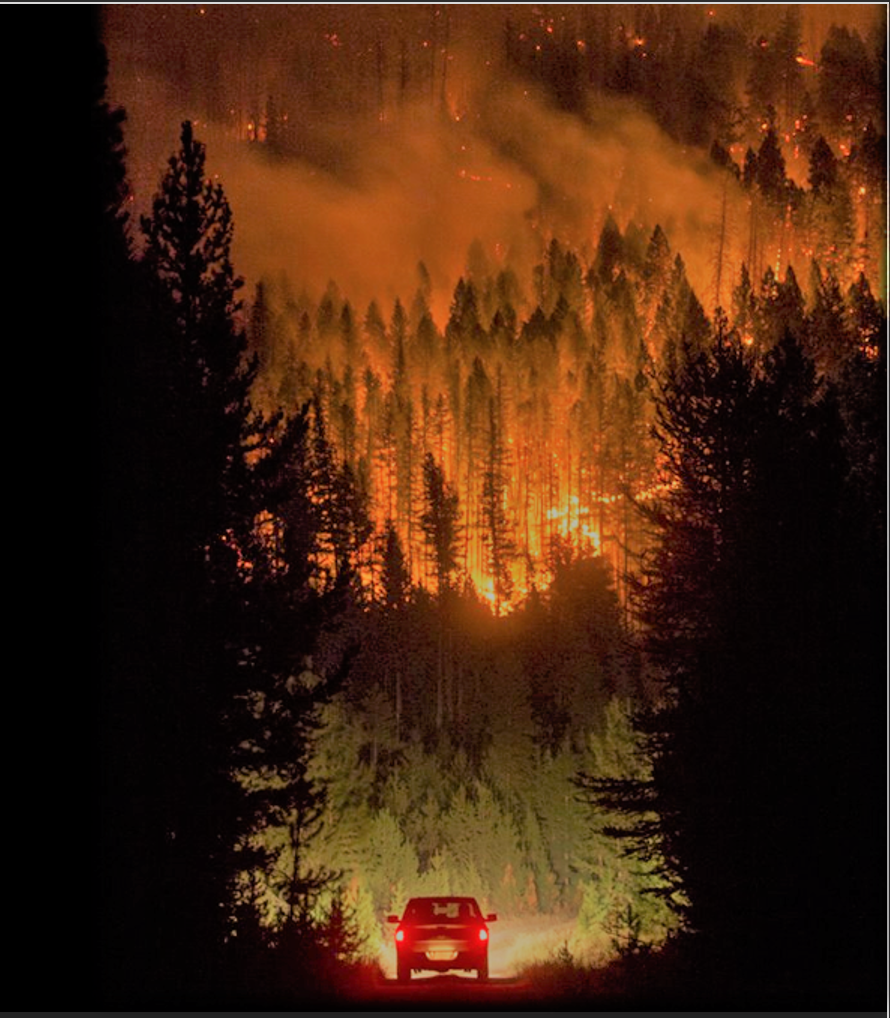 Webinar Synopsis: Post-Fire Planning “By the Book”: Strategies For Landscape and Social Response