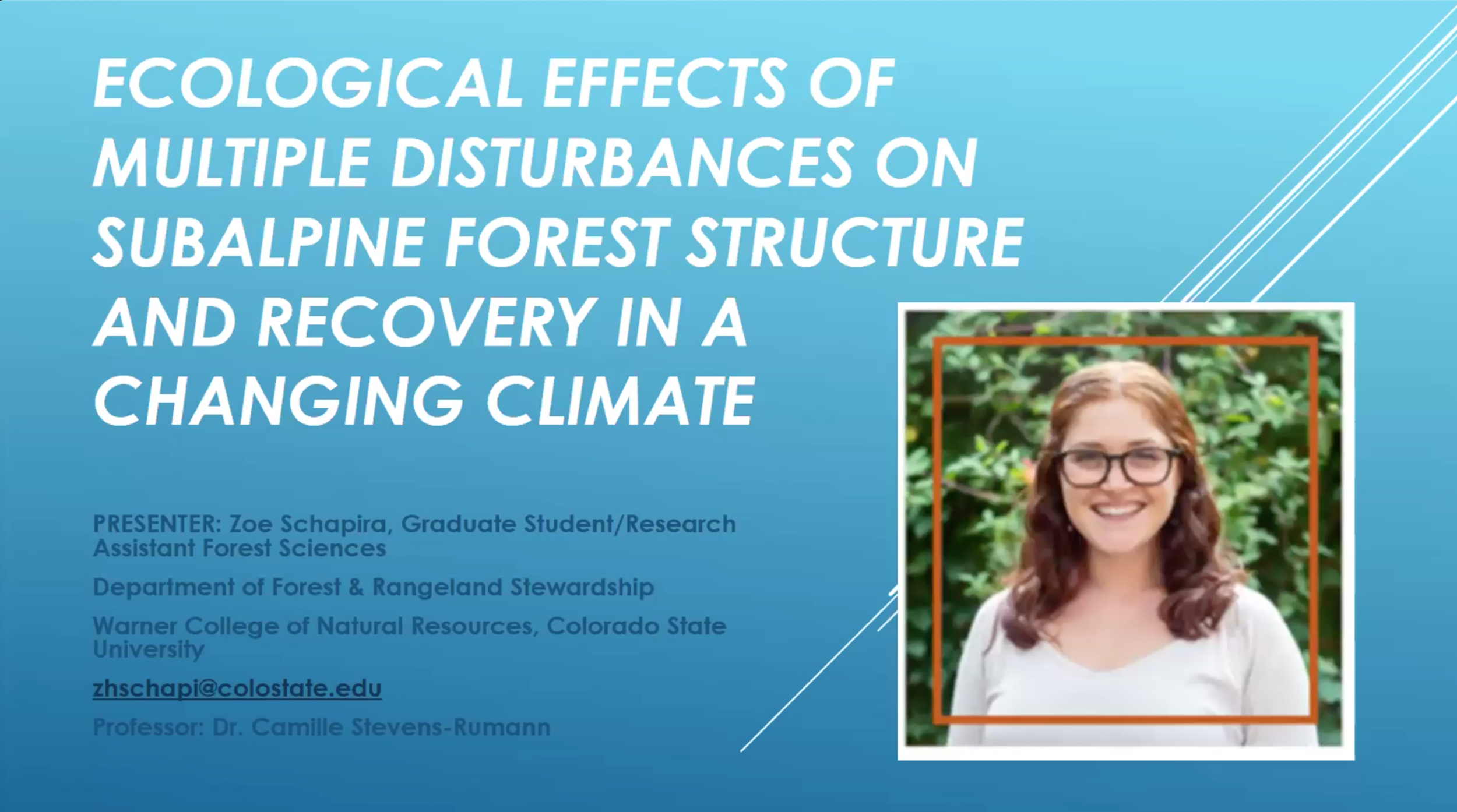 Webinar: Ecological Effects of Multiple Disturbances on Subalpine Forest Structure and Recovery in a Changing Climate