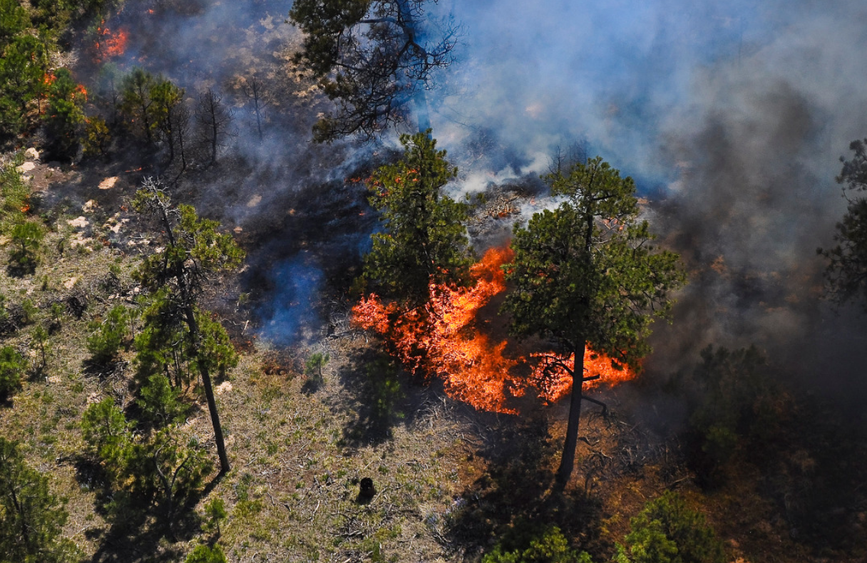 How Wildfire Affects Colorado’s Communities: A case study of the 2002 Missionary Ridge Fire