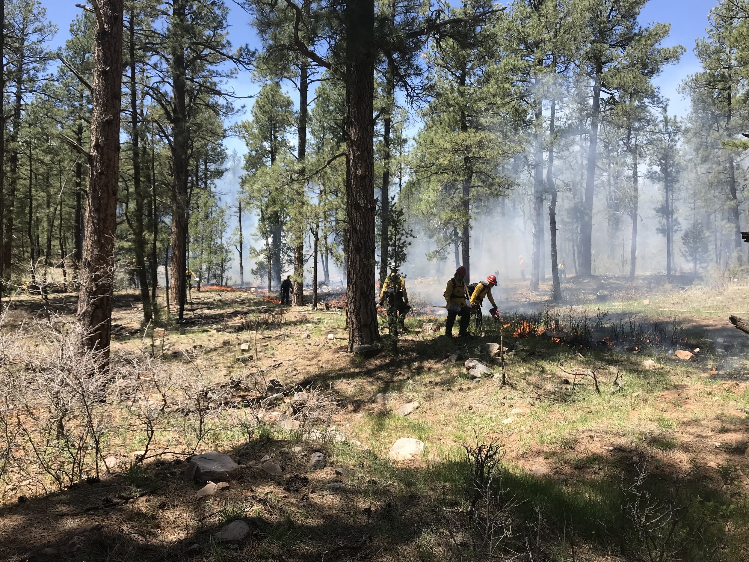 Recent Research on Perceived Risks, Legal Liabilities, and Insurance Coverage Associated with Prescribed Burning on Private Lands