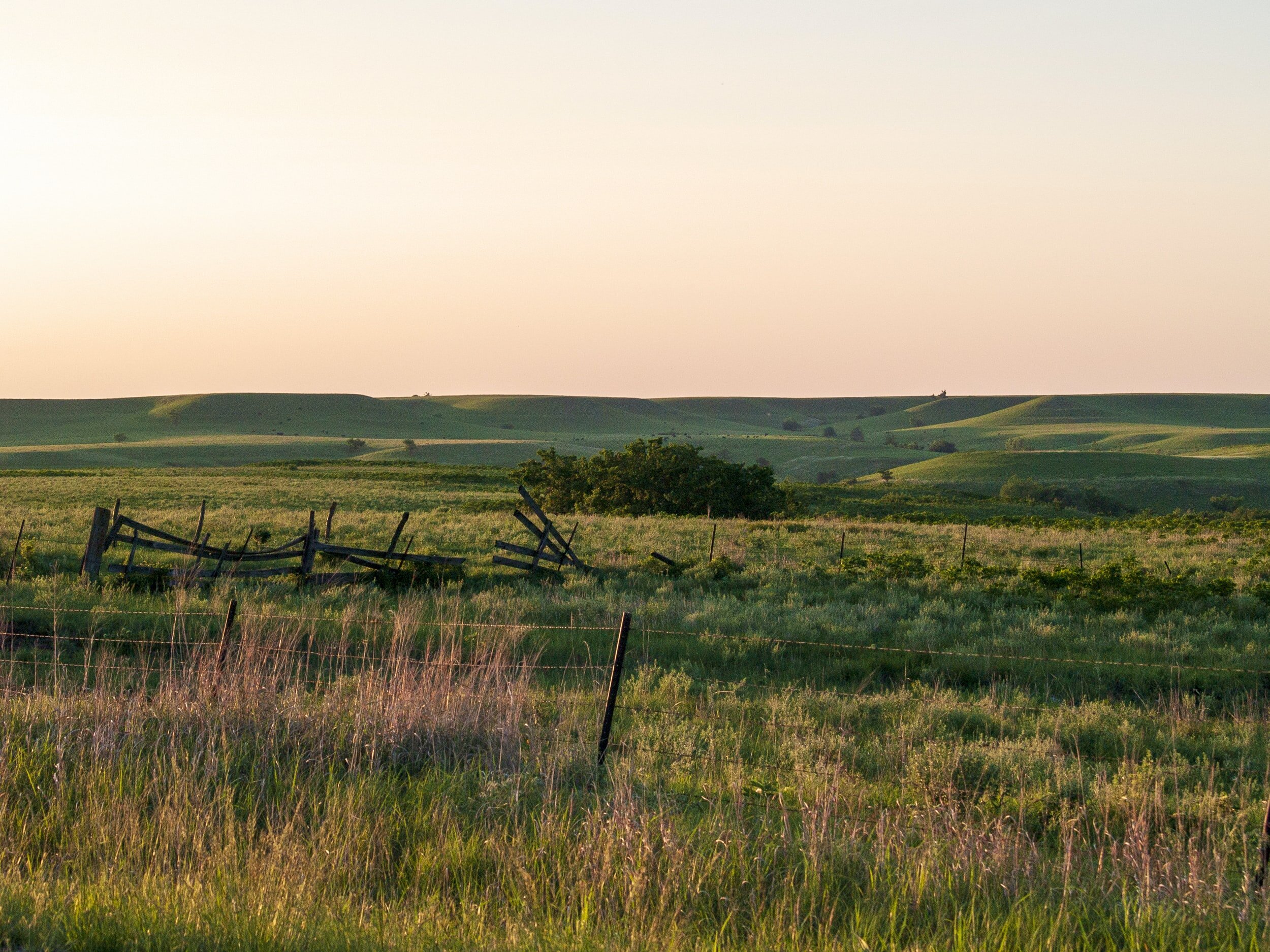 Does seeding after wildfires in rangelands reduce erosion or invasive species?