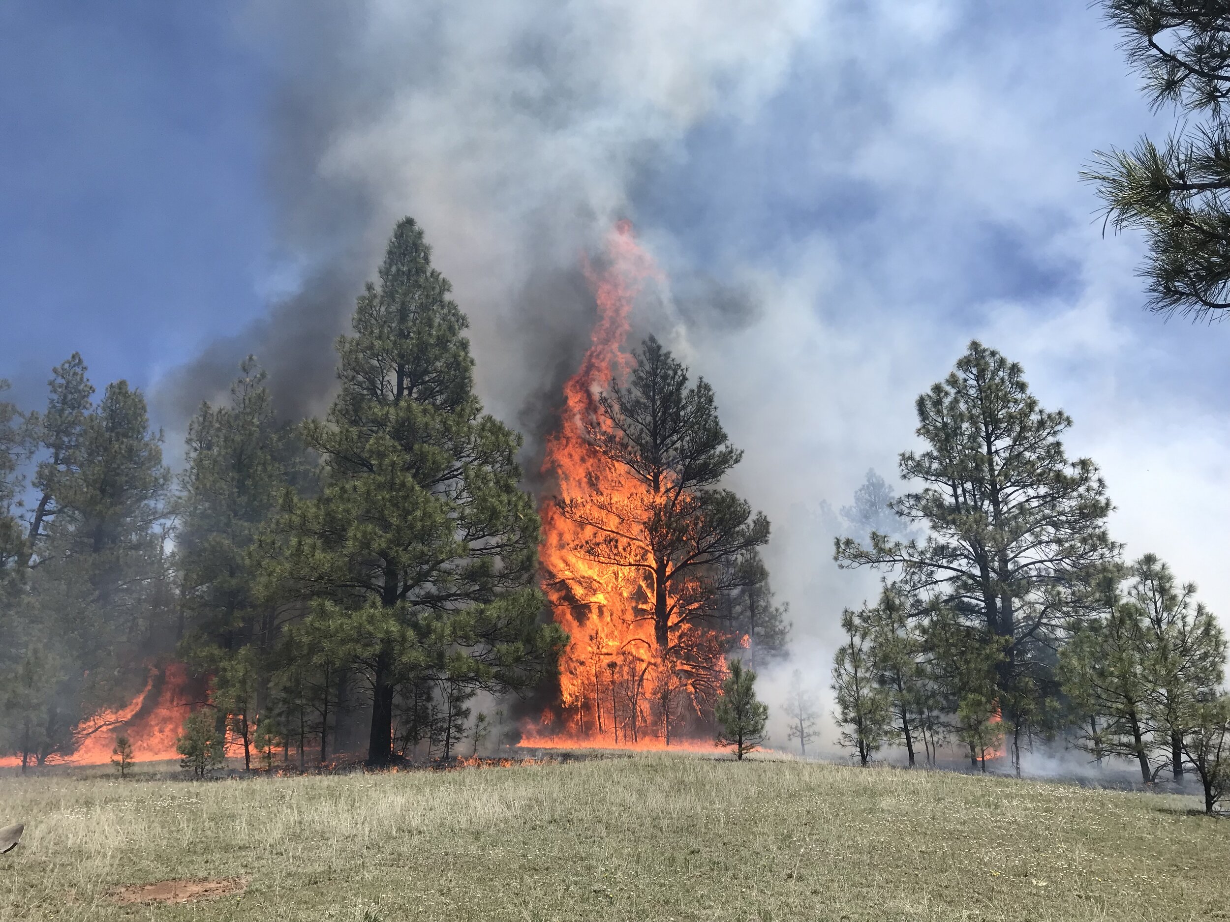 Multiscale perspectives of fire, climate and humans in western North America and the Jemez Mountains, USA