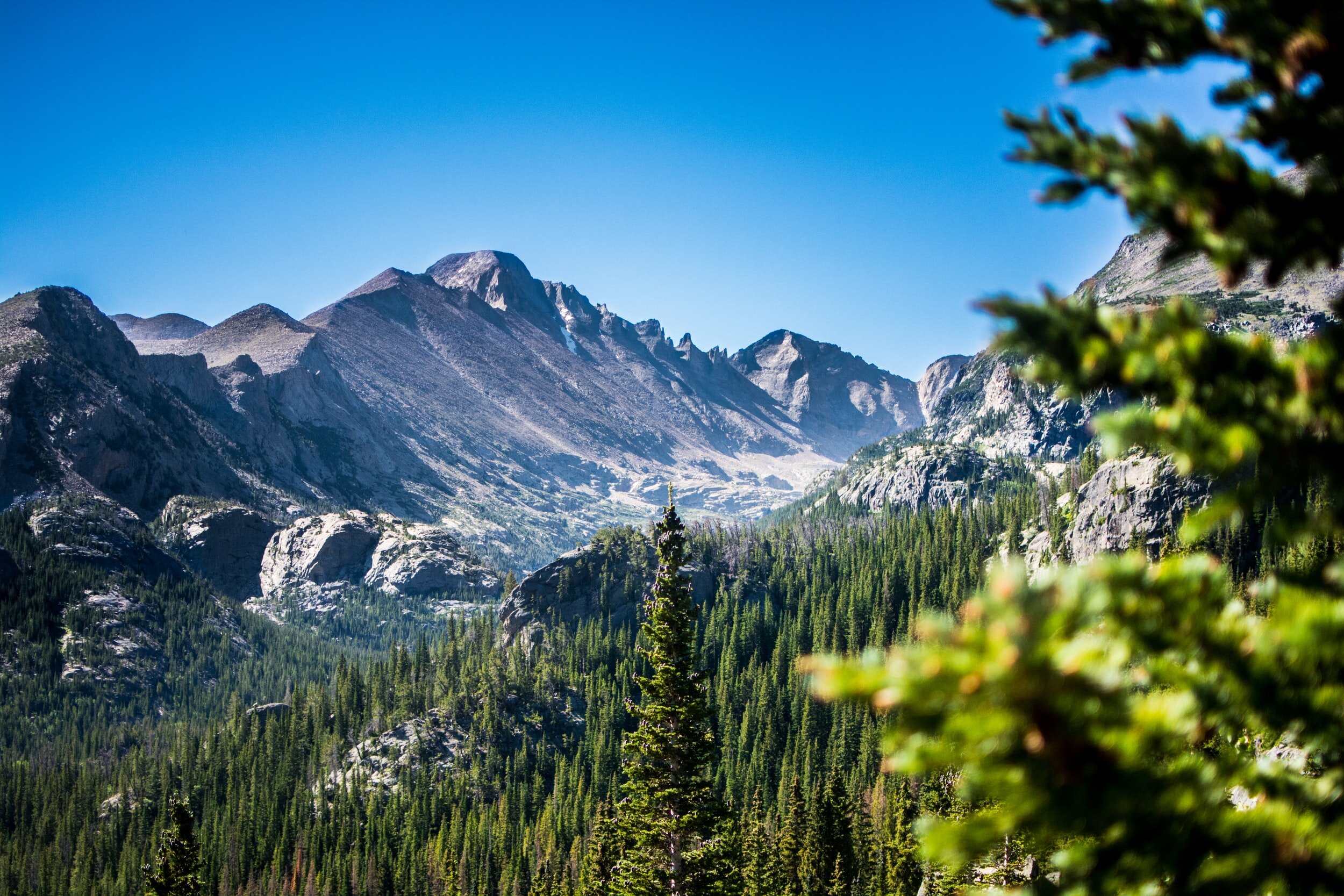 Invasive Species in Forests and Rangelands of the United States: A Comprehensive Science Synthesis for the United States Forest Sector