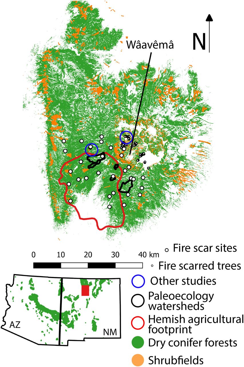 Native American Fire Management at an Ancient Wildland-Urban Interface in the Southwest U.S.