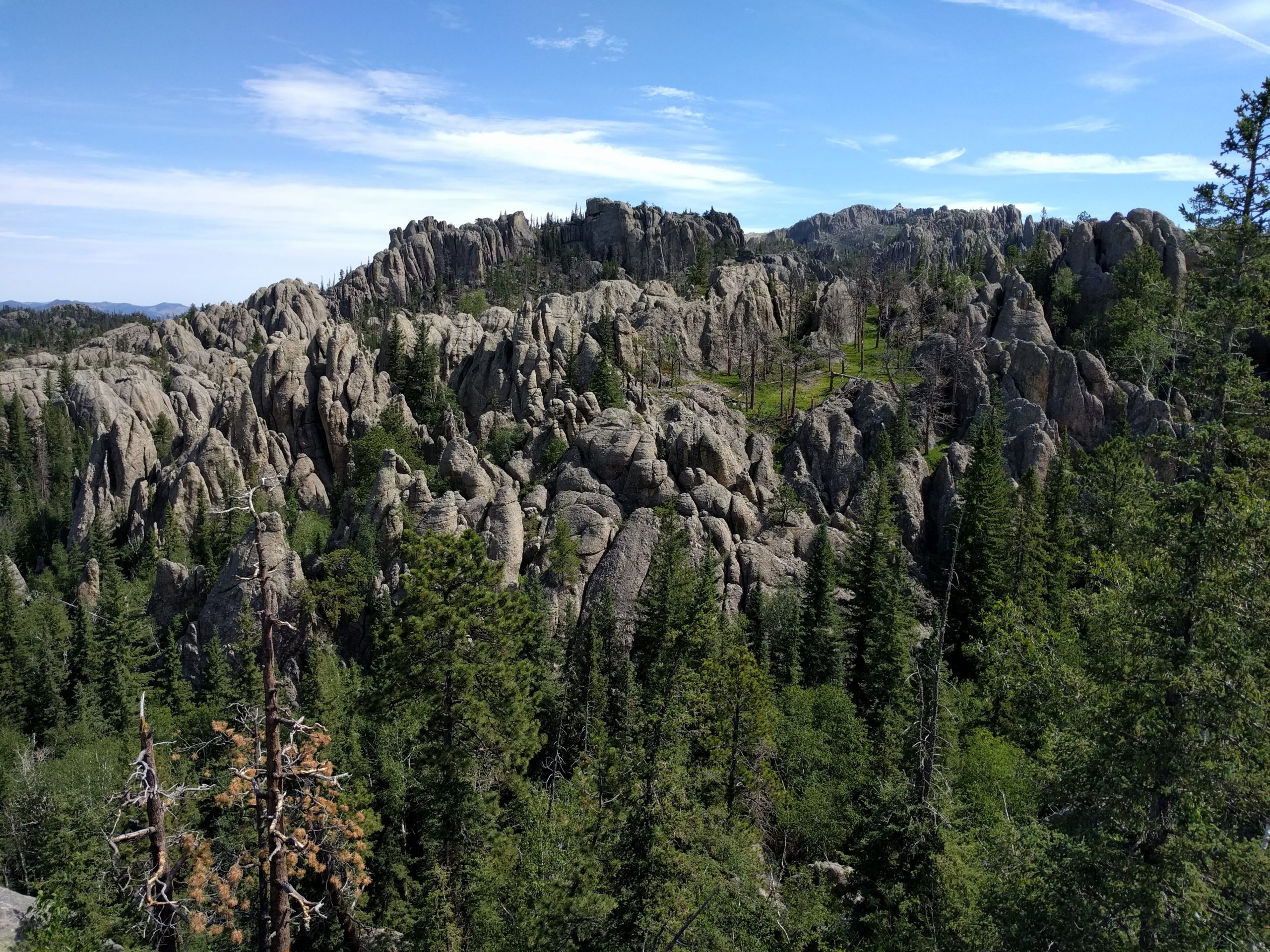 A scenario-based assessment to inform sustainable ponderosa pine timber harvest on the Black Hills National Forest