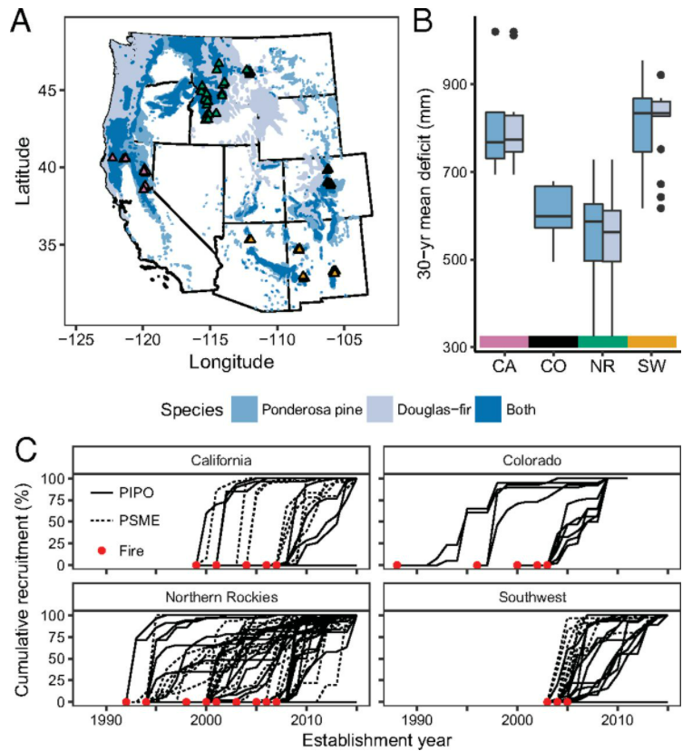 Wildfires and climate change push low-elevation forests across a critical climate threshold for tree regeneration